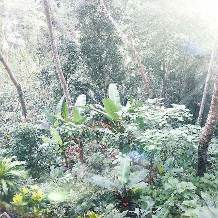 Ubud River Side House Hotel Esterno foto